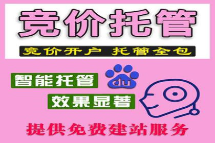 百度推广在体育行业中的营销策略与效果